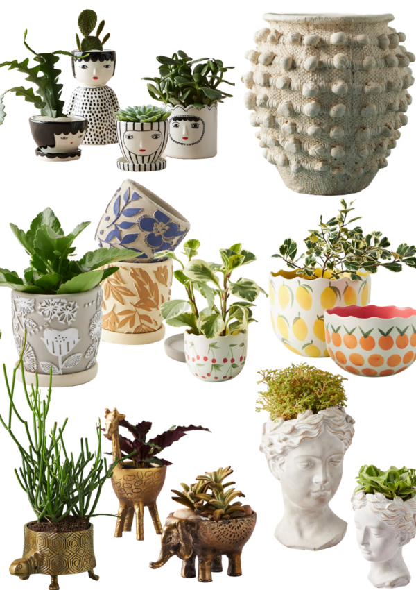 The Cutest Anthropologie Planters