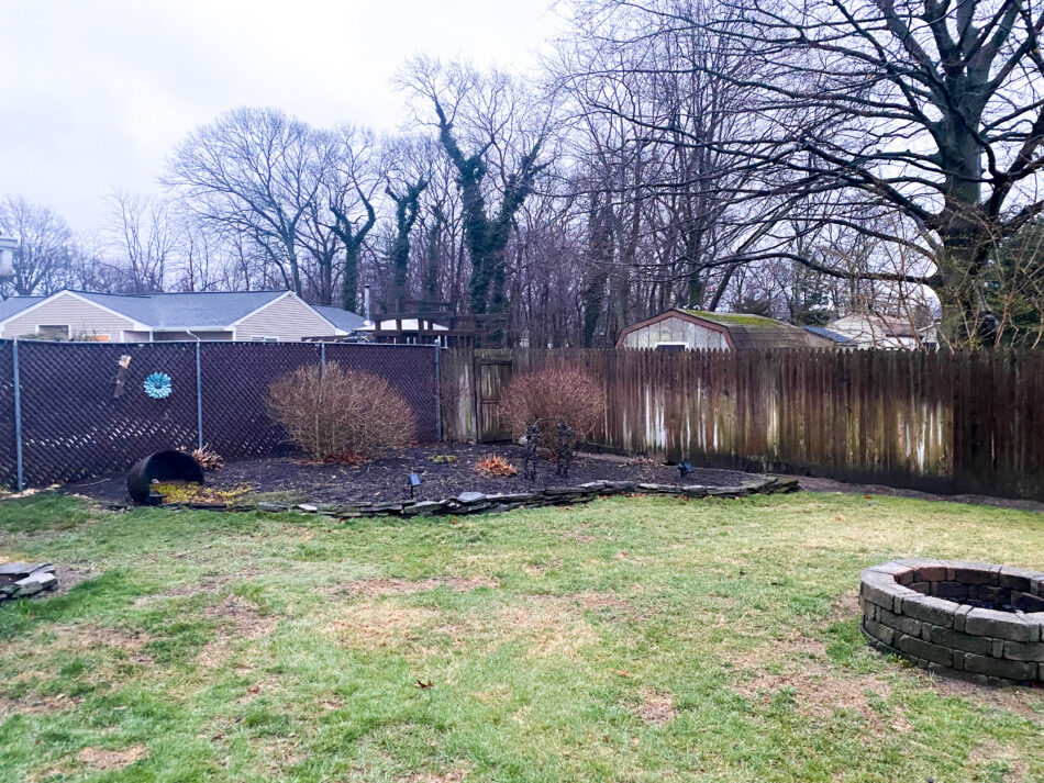 Backyard before