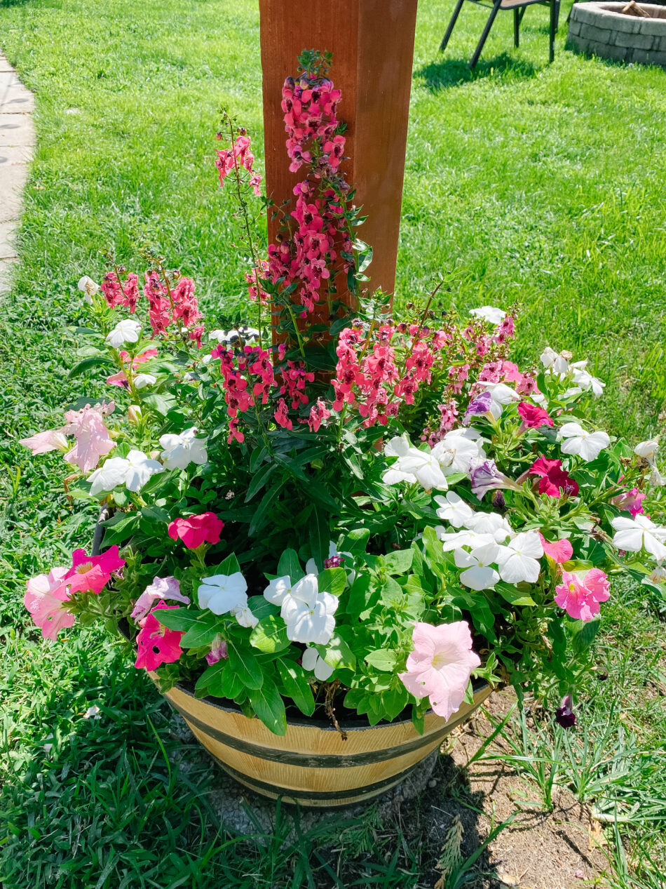 String light planters