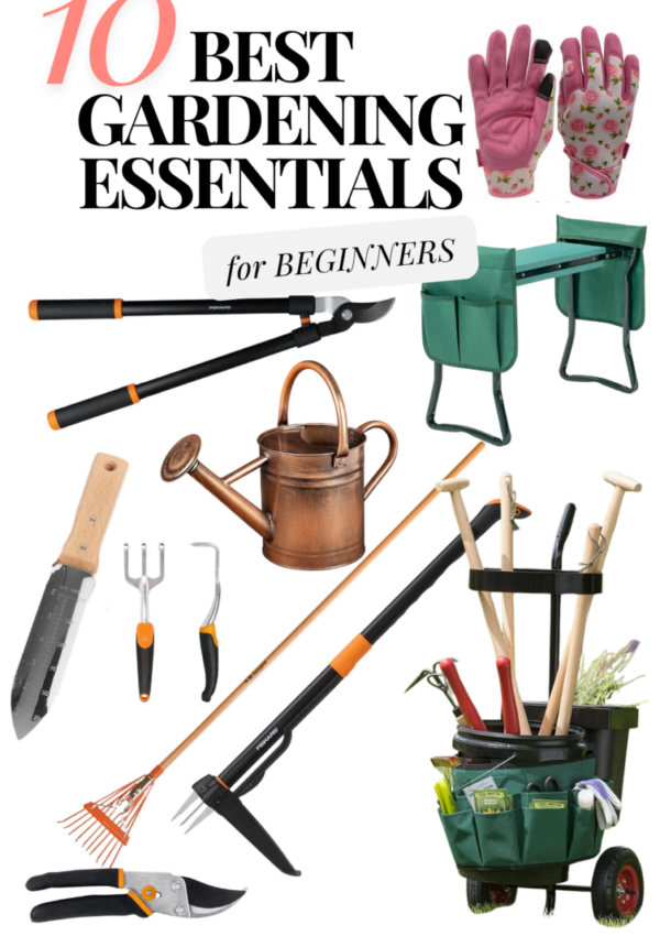 10 Best Gardening Essentials for Beginners