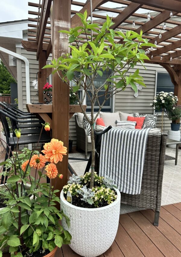 cheap outdoor containers